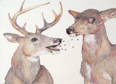 Original Surrealism Animal Drawings by Hannah Ward