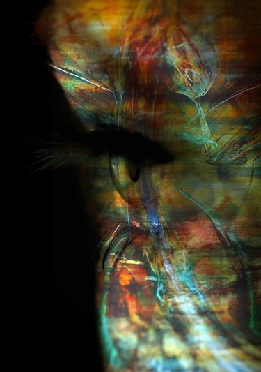 Original Conceptual Fantasy Photography by Photographe De Sherbrooke Photographe