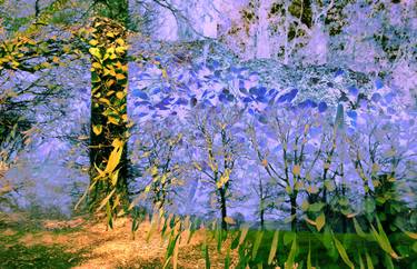 Original Conceptual Landscape Photography by Corrie Ancone