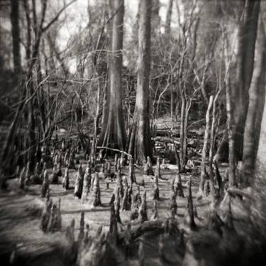 Original Fine Art Landscape Photography by Kenneth Jackson