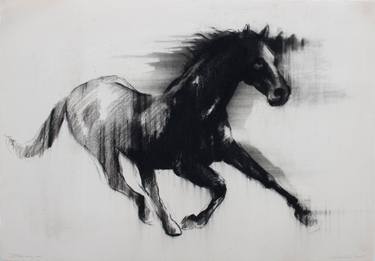 Original Expressionism Animal Drawings by Zil Hoque