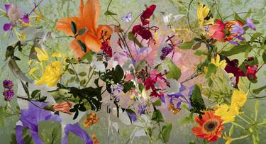 Original Surrealism Nature Photography by Ysabel Lemay