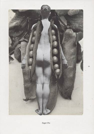 Original Conceptual Nude Collage by Deborah Stevenson