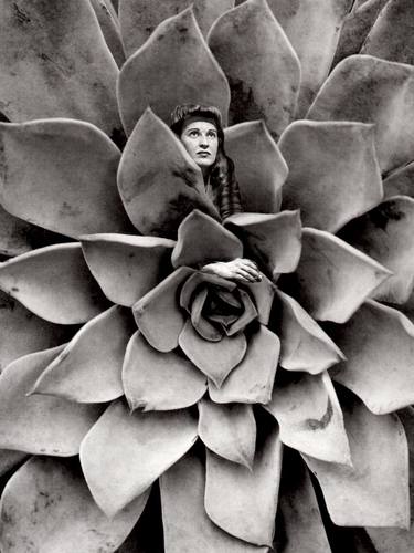 Original Conceptual Fantasy Collage by Deborah Stevenson