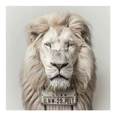 Original Artificial Intelligence Animal Photography by Laurent De Posson