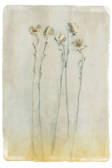 Original Abstract Expressionism Floral Photography by Louise O'Gorman