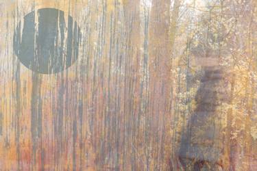 Original Abstract Expressionism Nature Photography by Louise O'Gorman