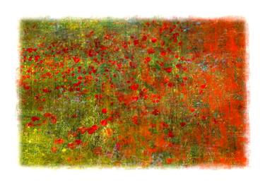 Original Abstract Expressionism Floral Photography by Louise O'Gorman