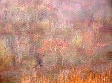 Original Abstract Expressionism Nature Photography by Louise O'Gorman