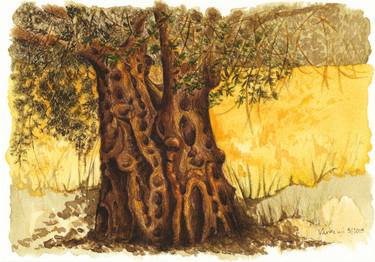 Original Figurative Tree Drawings by Lilla Varhelyi