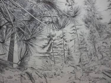 Original Fine Art Landscape Drawings by Robert Lee
