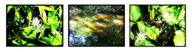 Original Contemporary Botanic Digital by Evelyne Chevallier