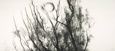 Original Fine Art Nature Drawings by Xersa Xersa