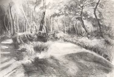 Original Figurative Language Drawings by Alison Chaplin