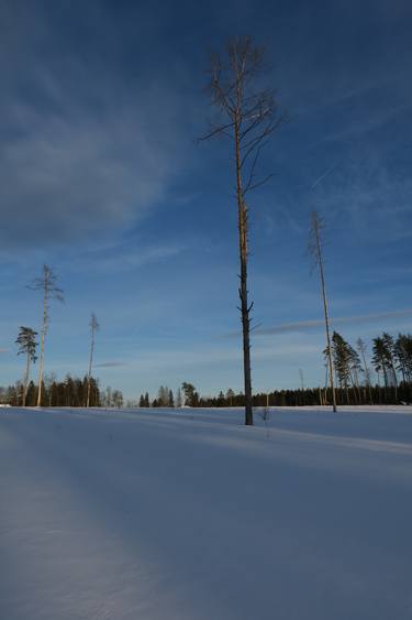 Original Photorealism Landscape Photography by Mikhail Yashin
