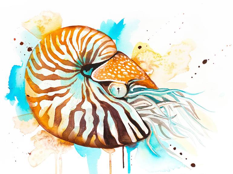 Chambered nautilus Painting by Slaveika Aladjova | Saatchi Art