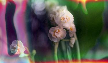 Original Expressionism Abstract Photography by Yaman Konuralp