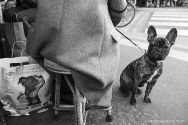 Original Documentary Animal Photography by Charlotte Sverdrup