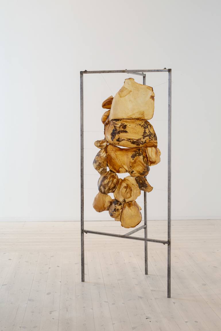 Original Conceptual Science Installation by Irina Laaja
