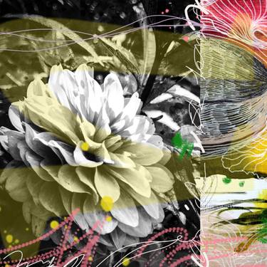 Original Abstract Expressionism Botanic Photography by Marijah Bac Cam