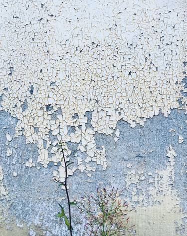 Original Abstract Photography by Jyoti Van Acker