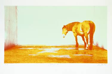 Original Pop Art Animal Printmaking by Lara Ješe