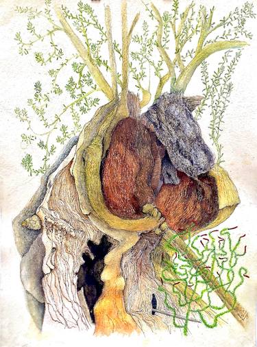 Original Documentary Tree Drawing by Mary-Lynne Stadler