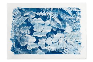 Original Realism Nature Printmaking by Nicole Neuefeind
