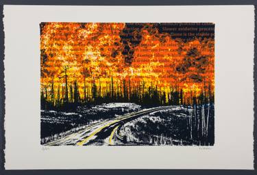 Original Fine Art Nature Printmaking by Nicole Neuefeind