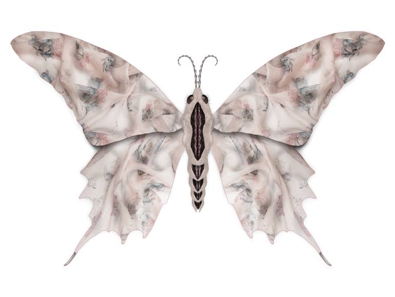 Butterfly Alexander Mcqueen Alexander McQueen Serico Butterfly