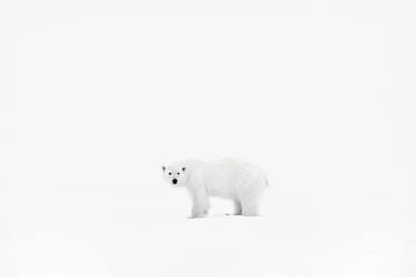 Original Fine Art Animal Photography by Drew Doggett