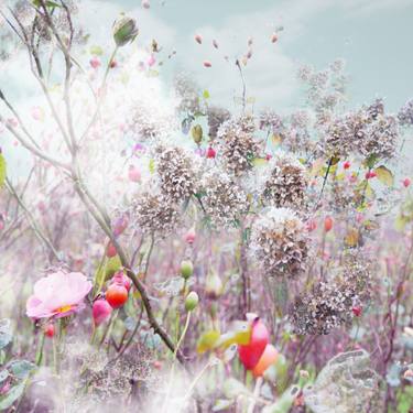 Print of Conceptual Garden Photography by Agnieszka Maria Zieba