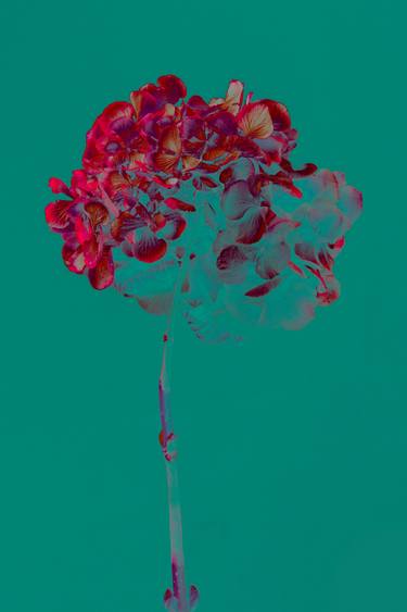 Original Realism Floral Mixed Media by Teis Albers