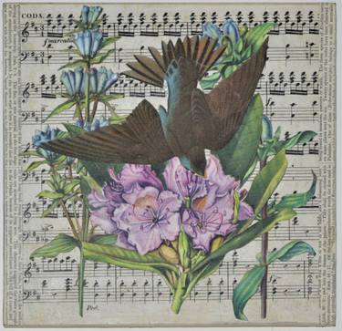 Original Contemporary Nature Collage by Thomas Terceira