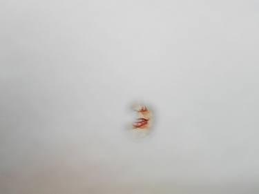 Original Figurative Portrait Installation by Maria Bisbal