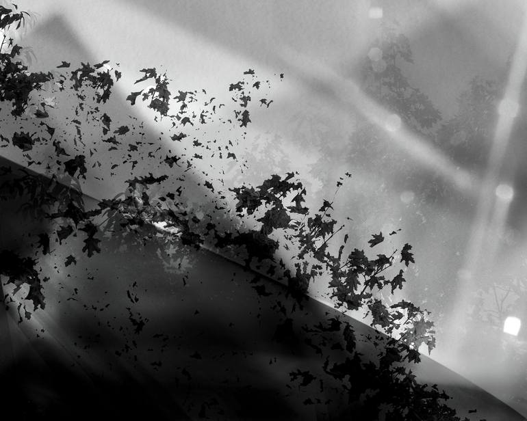 Print of Black & White Abstract Photography by Niqui Carter