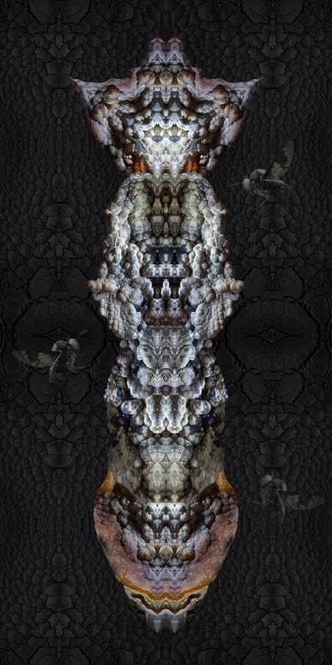 Original Contemporary Fantasy Photography by David Fenton