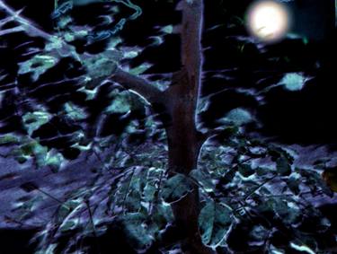 Original Photorealism Tree Digital by Ageliki Baka
