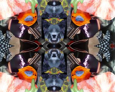 Original Surrealism Women Printmaking by Moya Devine