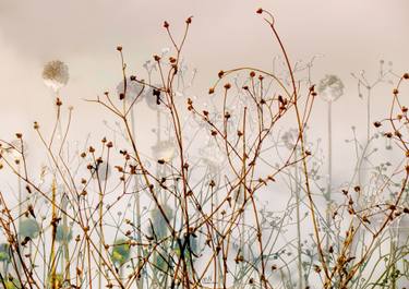 Original Realism Floral Digital by Mirja Nuutinen