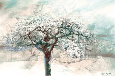 Original Expressionism Garden Digital by Mirja Nuutinen