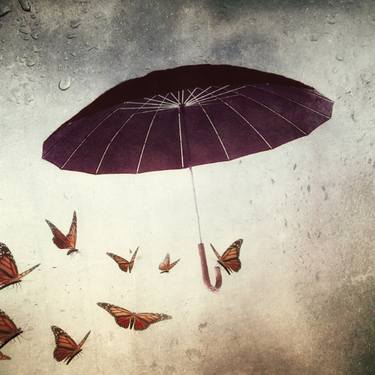 Original Conceptual Seasons Photography by Kasia Derwinska