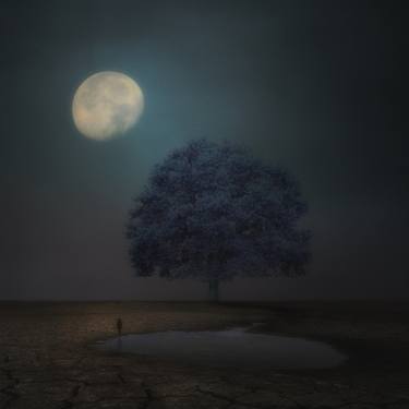 Original Conceptual Tree Photography by Kasia Derwinska