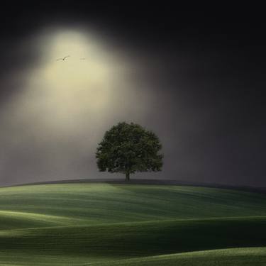 Original Conceptual Tree Mixed Media by Kasia Derwinska