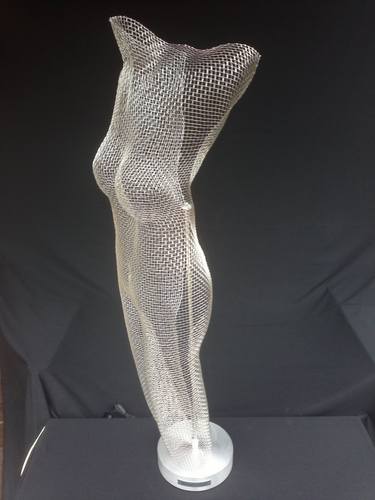Original Conceptual Body Installation by Sławomir Golonko