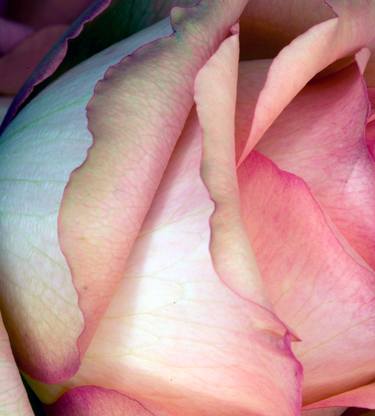 Original Figurative Abstract Photography by Ebby   May