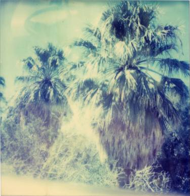 Original Conceptual Landscape Photography by Stefanie Schneider