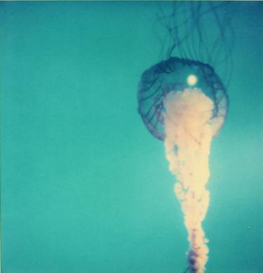 Original Conceptual Fish Photography by Stefanie Schneider