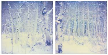 Original Conceptual Nature Photography by Stefanie Schneider