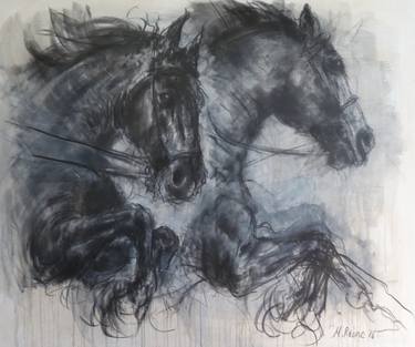 Original Expressionism Horse Drawings by Mandy Racine